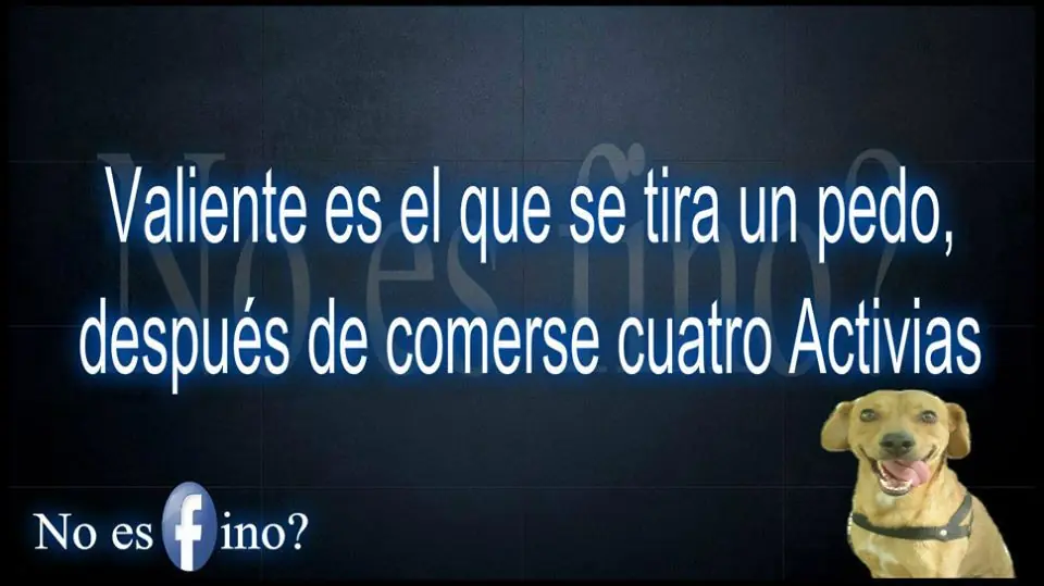 chiste