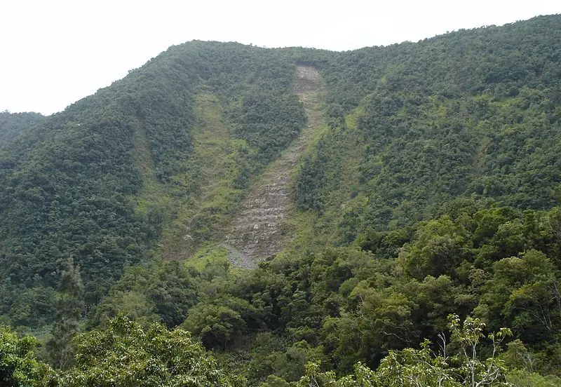 fenómenos