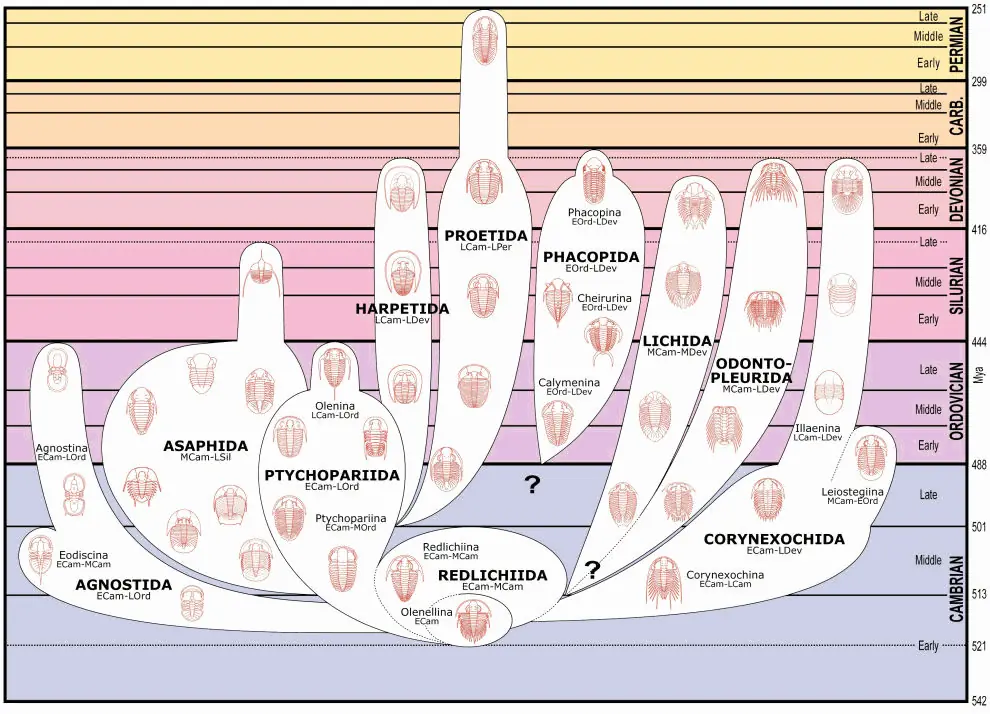 Ciencia