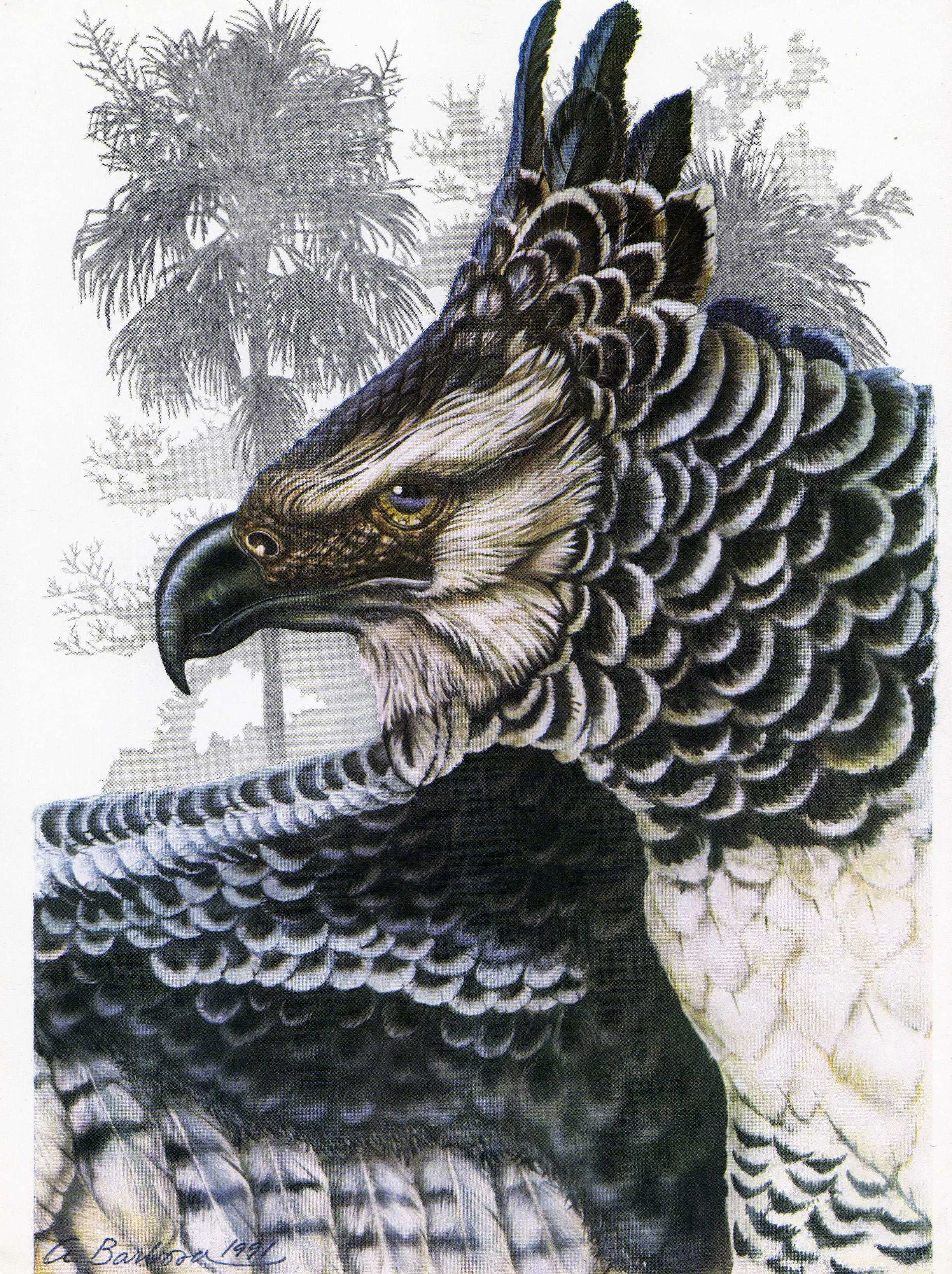 6 Animales en peligro de extinción en mexico