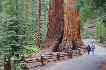 Parque Nacional Yosemite