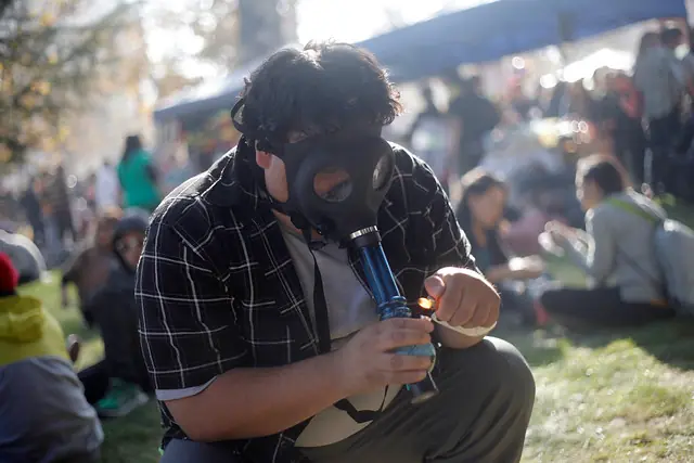 Chilenos mayores consumidores de marihuana en Latinoamérica.