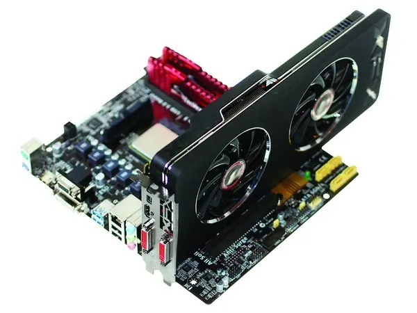 amd