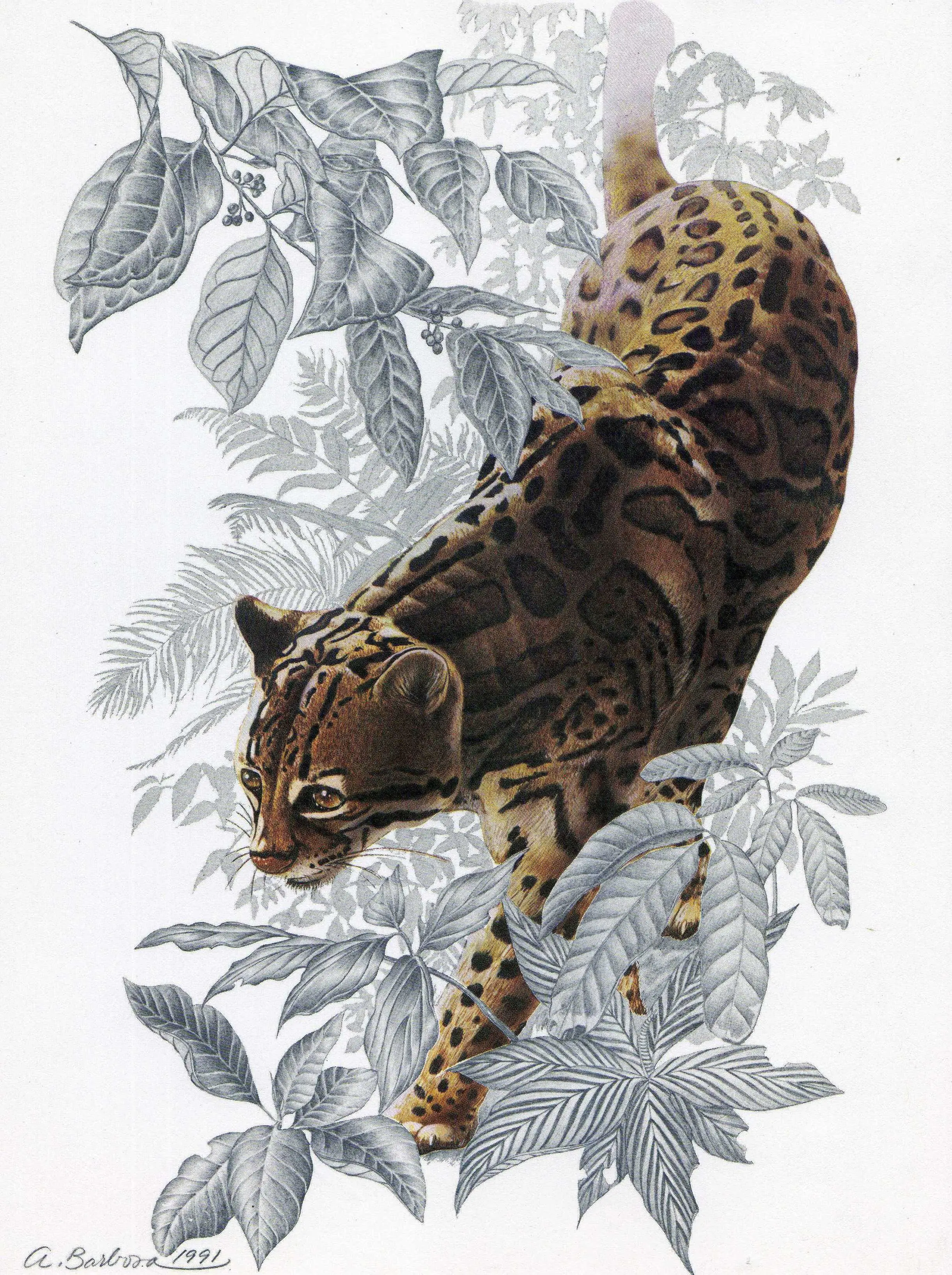 6 Animales en peligro de extinción en mexico