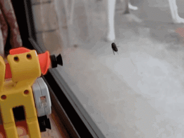 26 Técnicas efectivas para matar a un mosquito