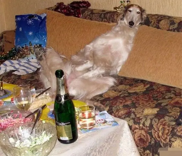 seguite riendo :) gifs imagenes