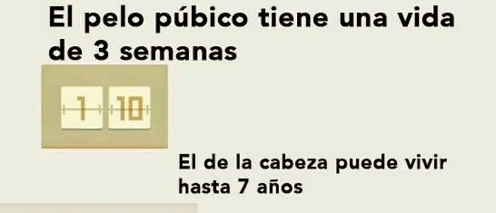 seguite riendo :) gifs imagenes