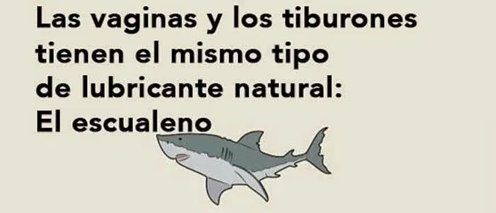 humor