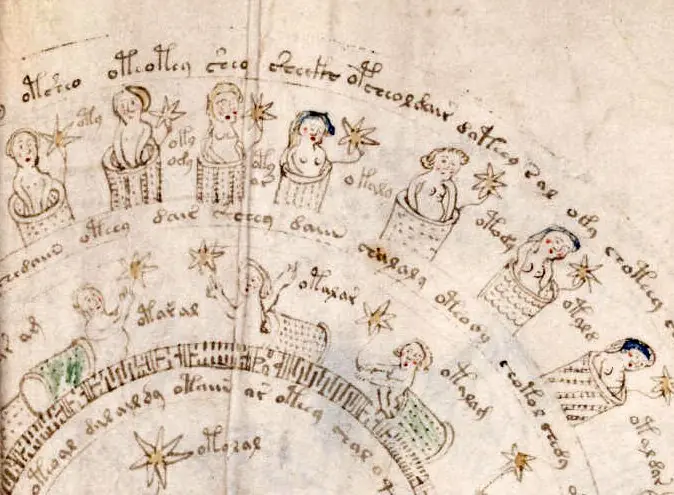 manuscrito voynich