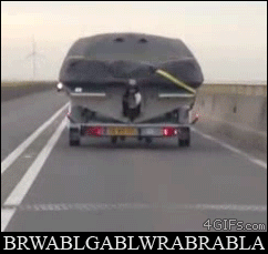 Gifs