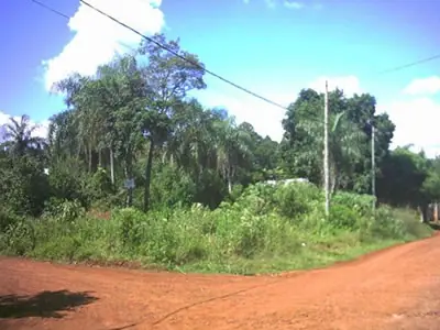 reviro