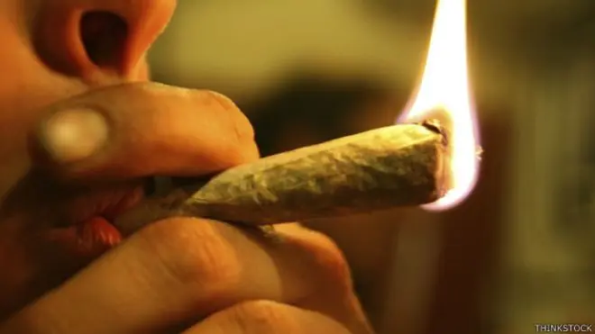 cannabis