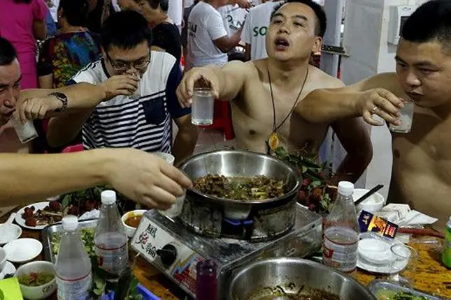 carne perro