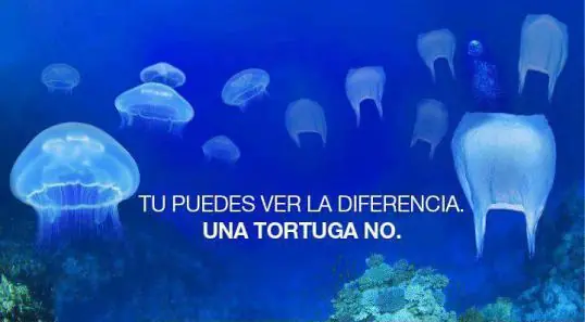 contaminacion