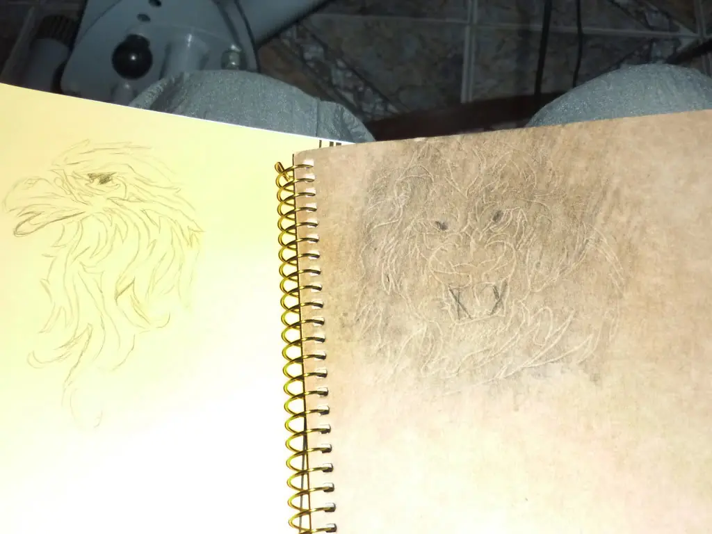 ¿te gustaria tener cuadernos modernos pero baratos? Entra