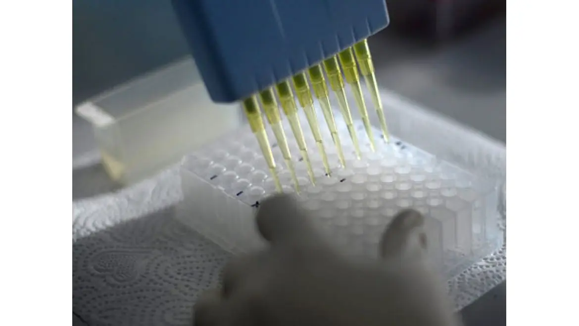 Hallan gen que predice la hora de la muerte