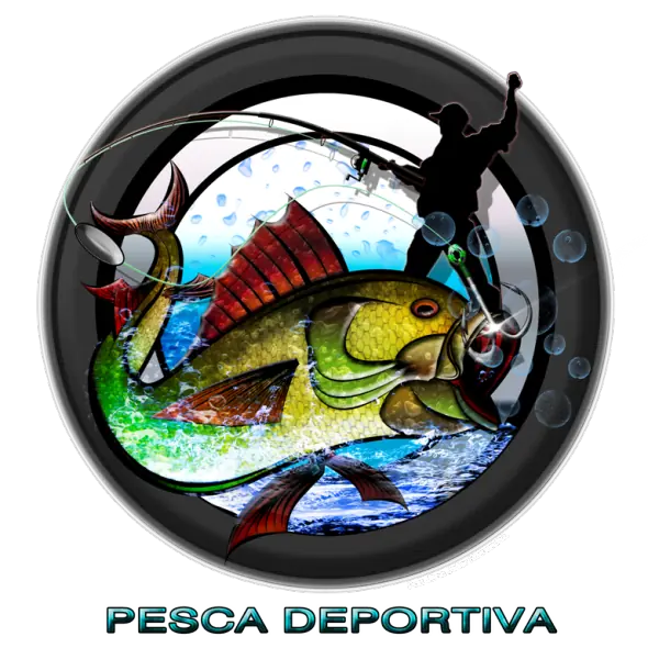 accesorios
