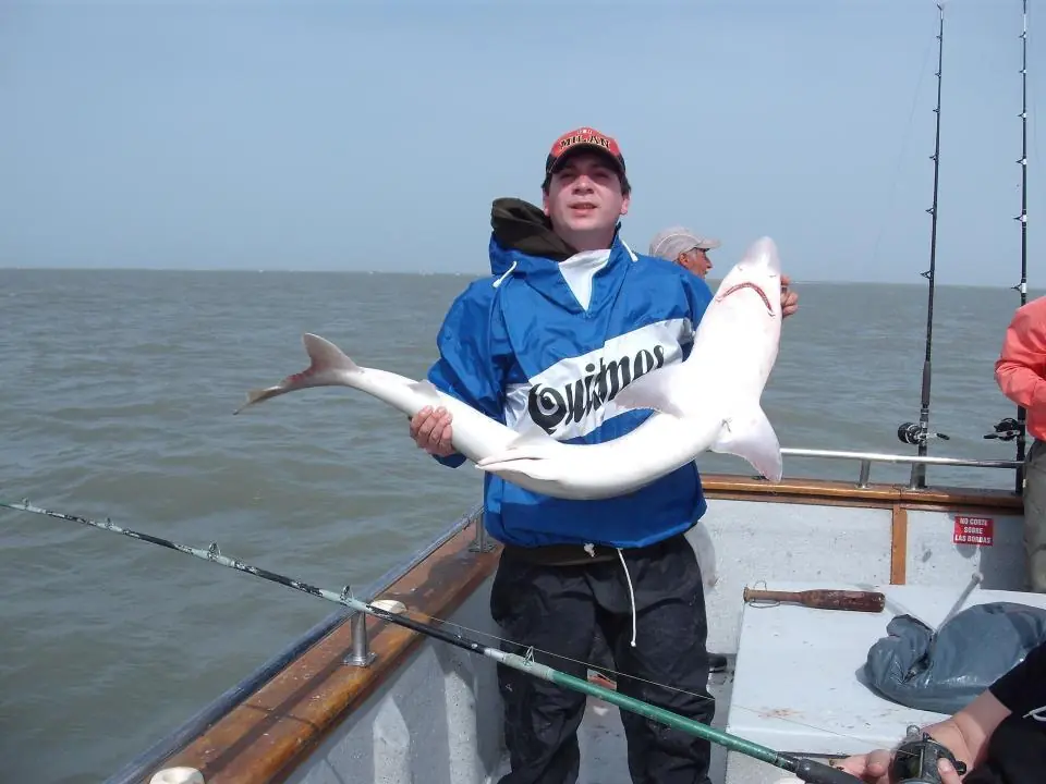 pesca deportiva