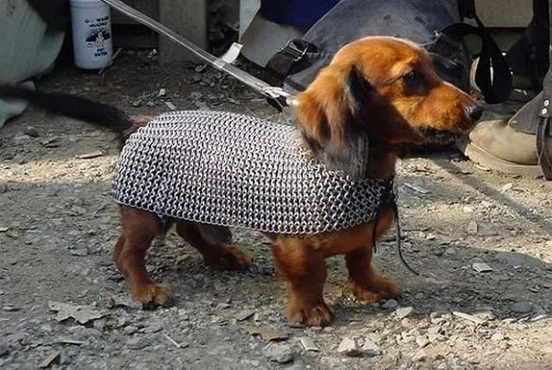Cosas de la Época medieval que no sabías