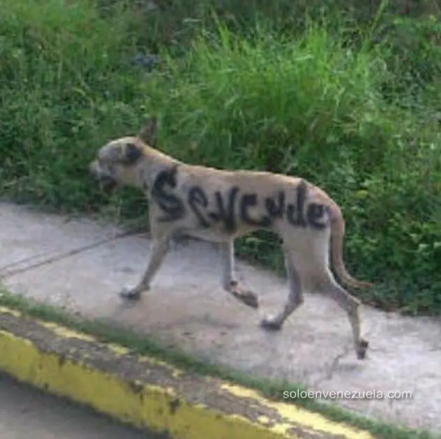 cosas