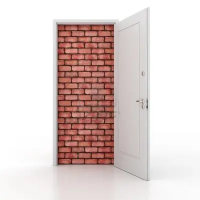 La Ilegalidad del Dolar