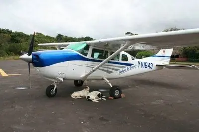 venezolano
