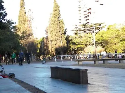 skate