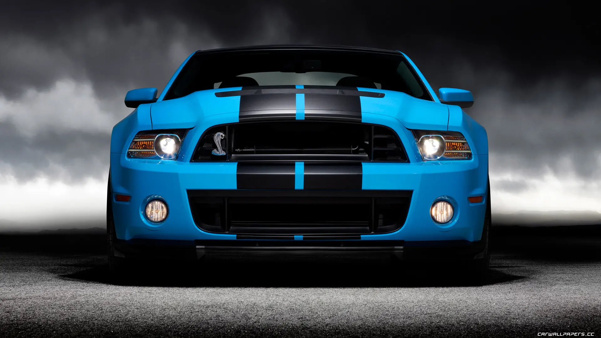 shelby