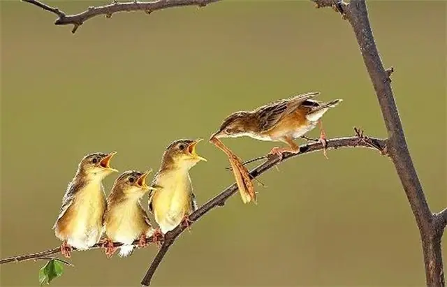 Lleno de sentimientos