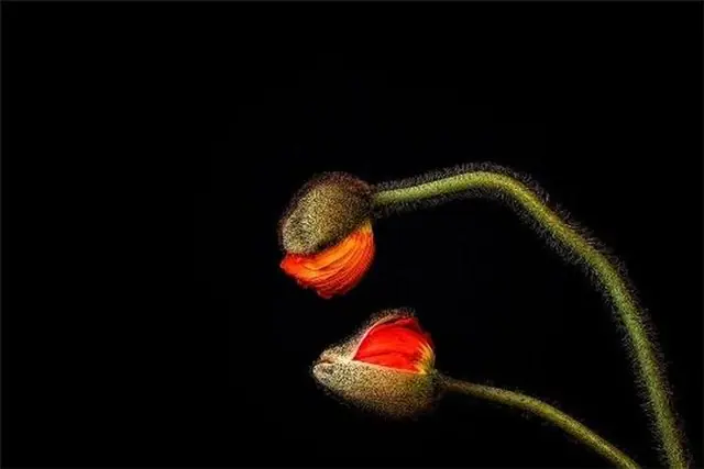 Lleno de sentimientos