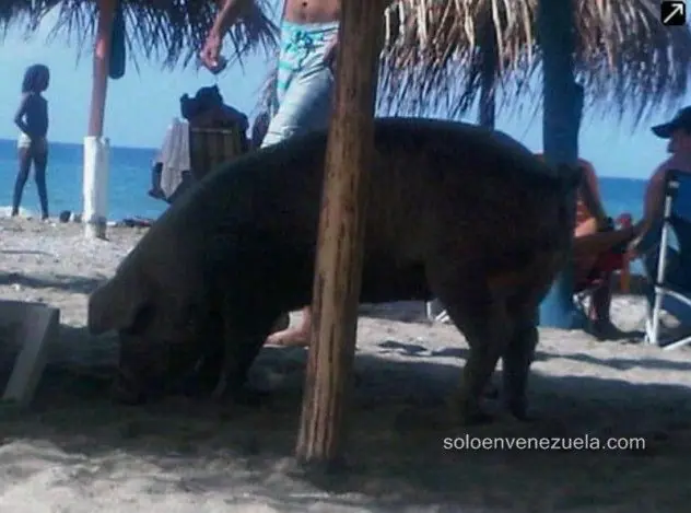 Venezuela