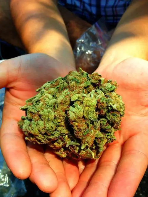 Mis Historias Fumando Marihuana