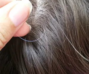 Como revertir las canas, capo