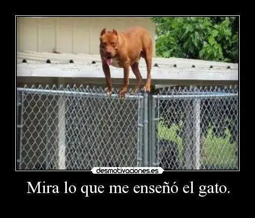 rianse
