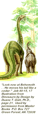 Dinosaurios