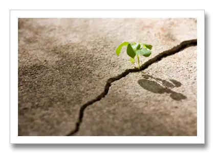 capacidades de nuestro organismo