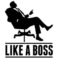 Queres ser Like a Boss?entra feto
