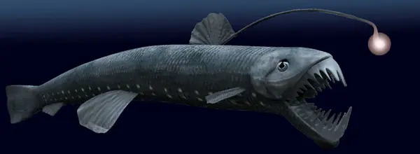 La vida secreta de las profundidades del mar