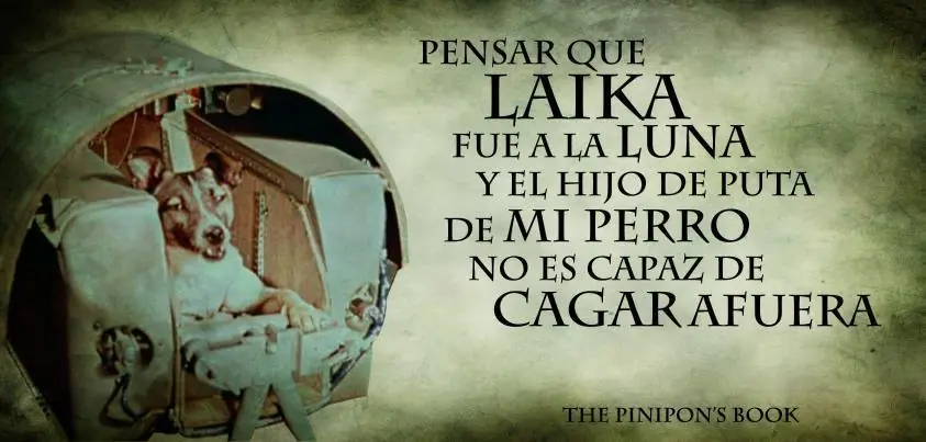 Recopilación de imágenes de humor