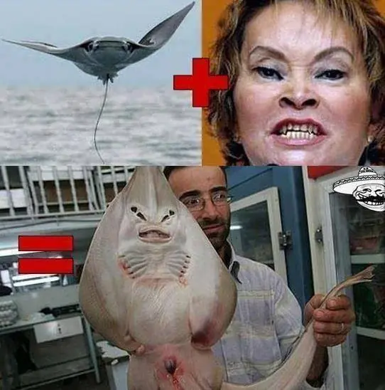 megapost