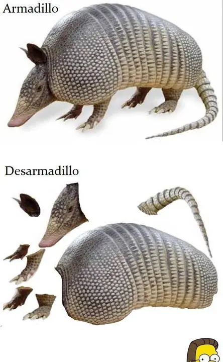 Recopilación de imágenes de humor