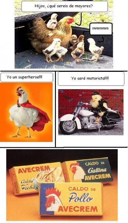 recopilacion