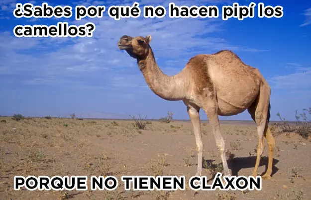 Recopilación de imágenes de humor