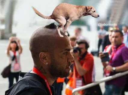 Te saco una sonrisa nada mas! (4)