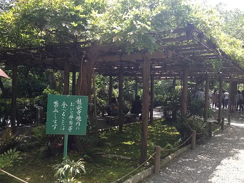 Japón: 50 curiosidades y 3 innombrables