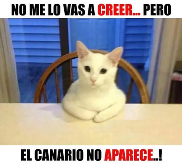 Te saco una sonrisa nada mas! (4)