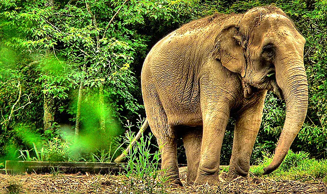 10 Datos Curiosos que NO cambiarán tu Vida, Mejor no entres