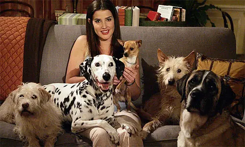 how i met your mother