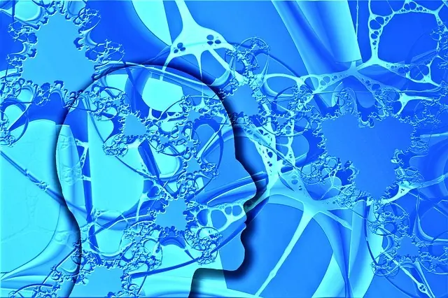 cerebro