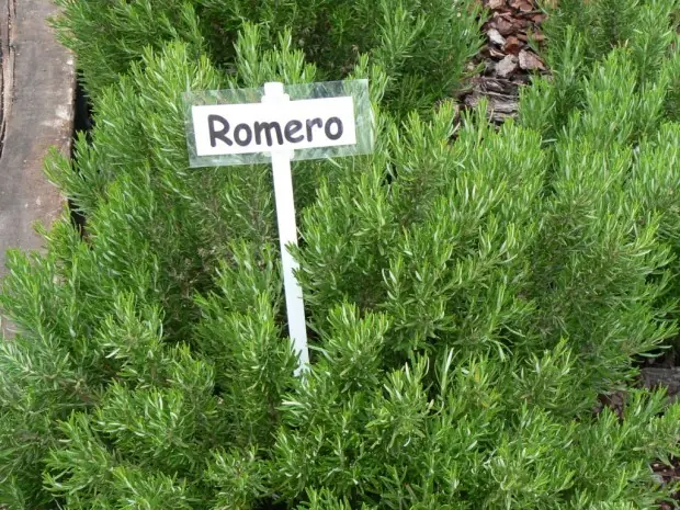 memoria memoria